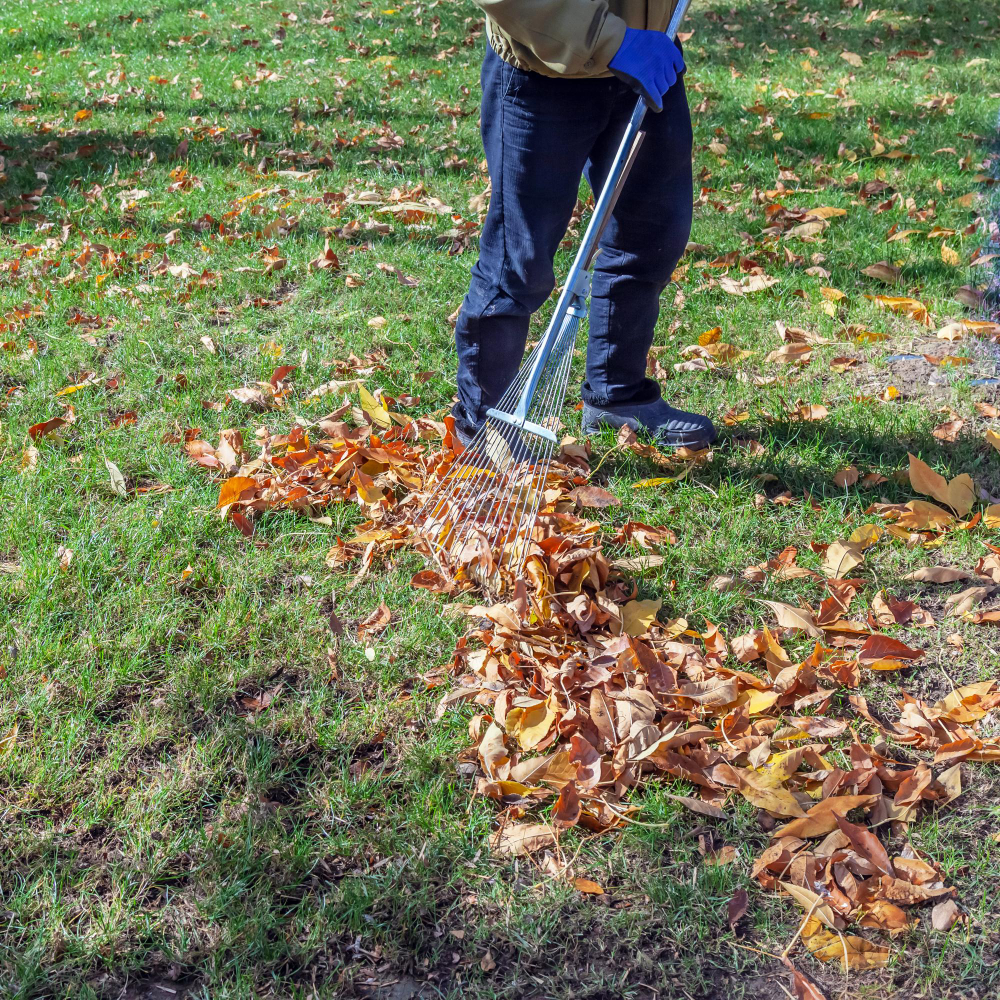 Débroussaillage ramassage feuilles